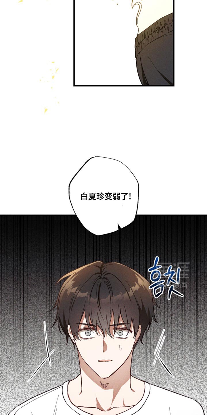 第42章：可疑