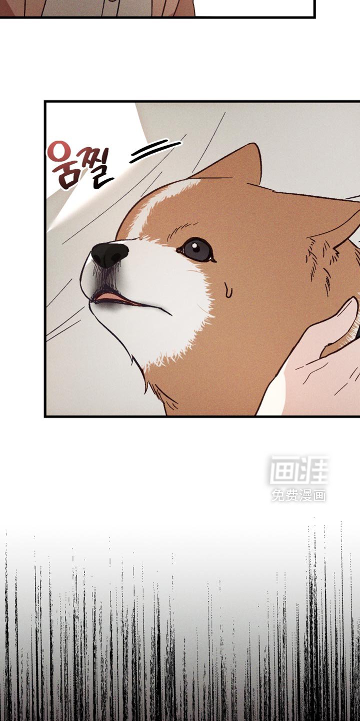 第42章：可疑