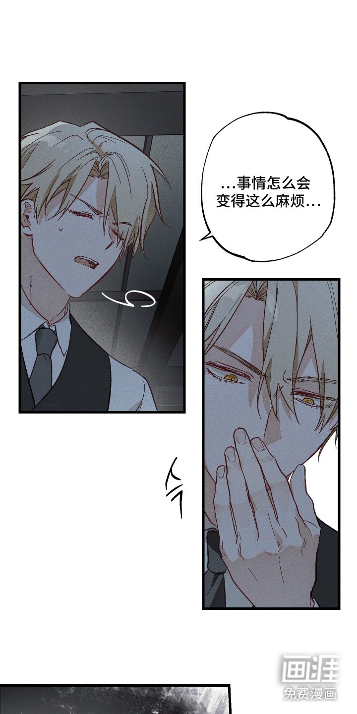 第5章：九尾珠