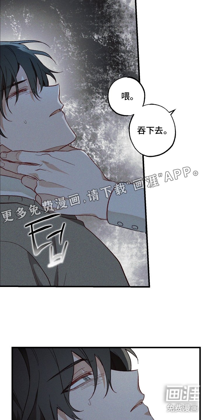 第5章：九尾珠