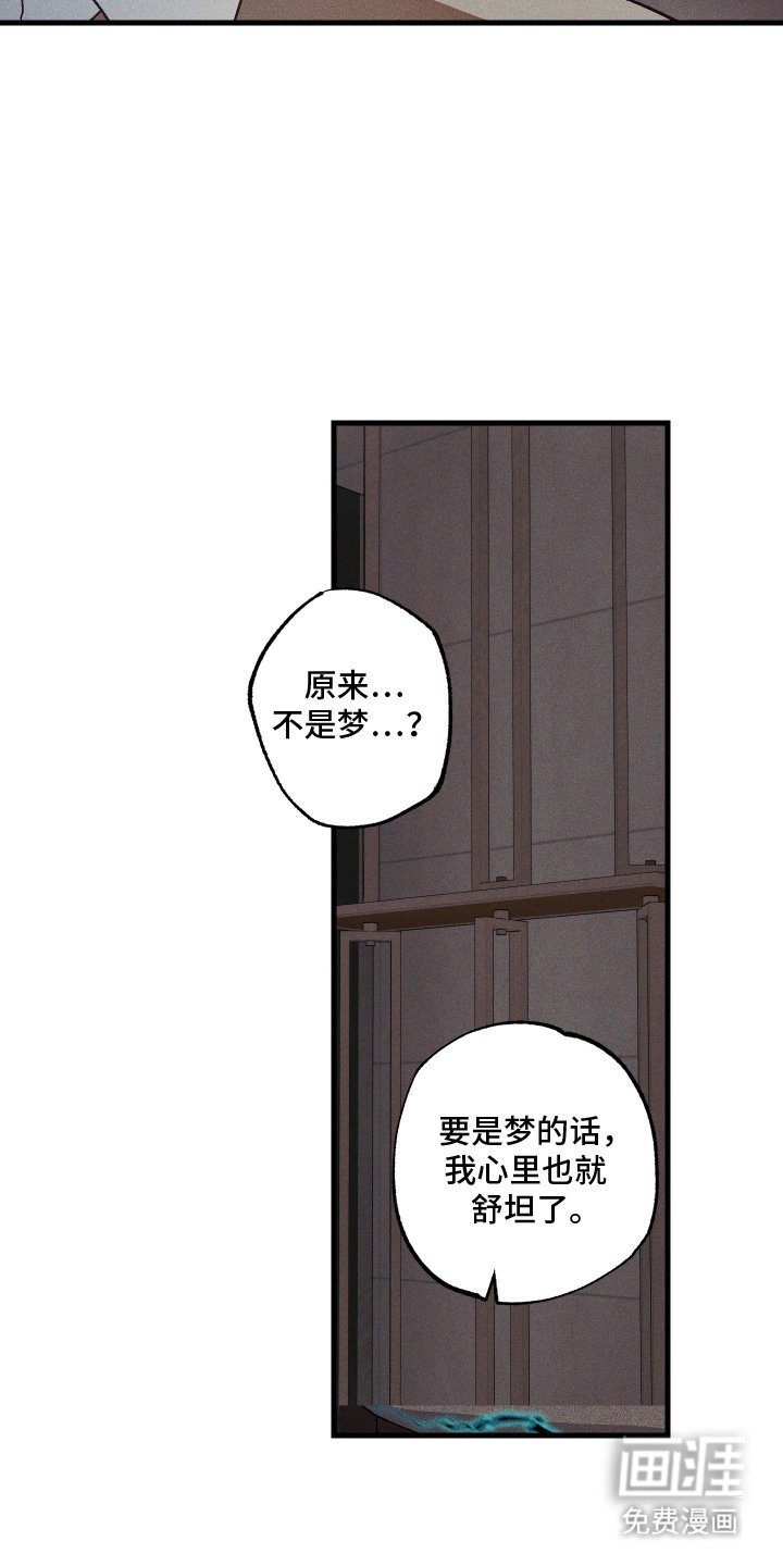 第5章：九尾珠