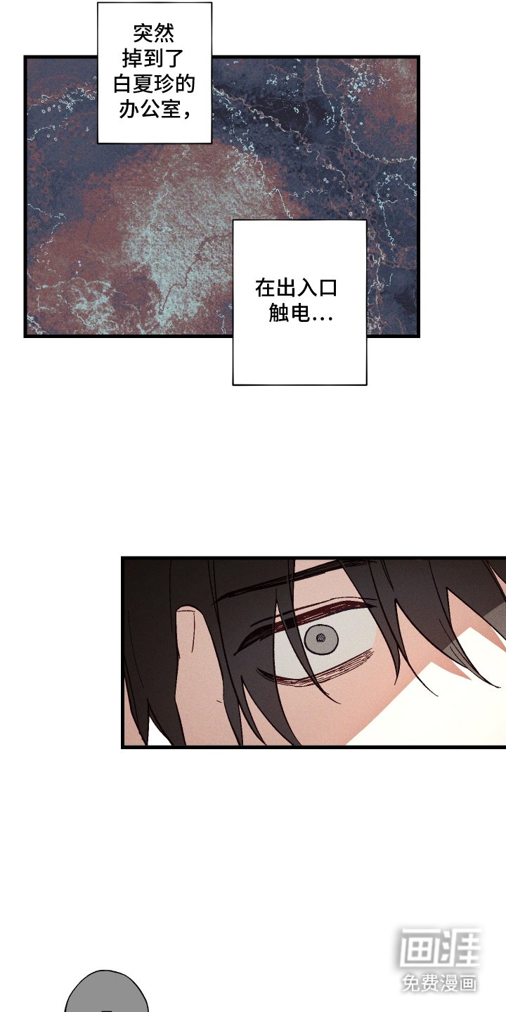 第5章：九尾珠