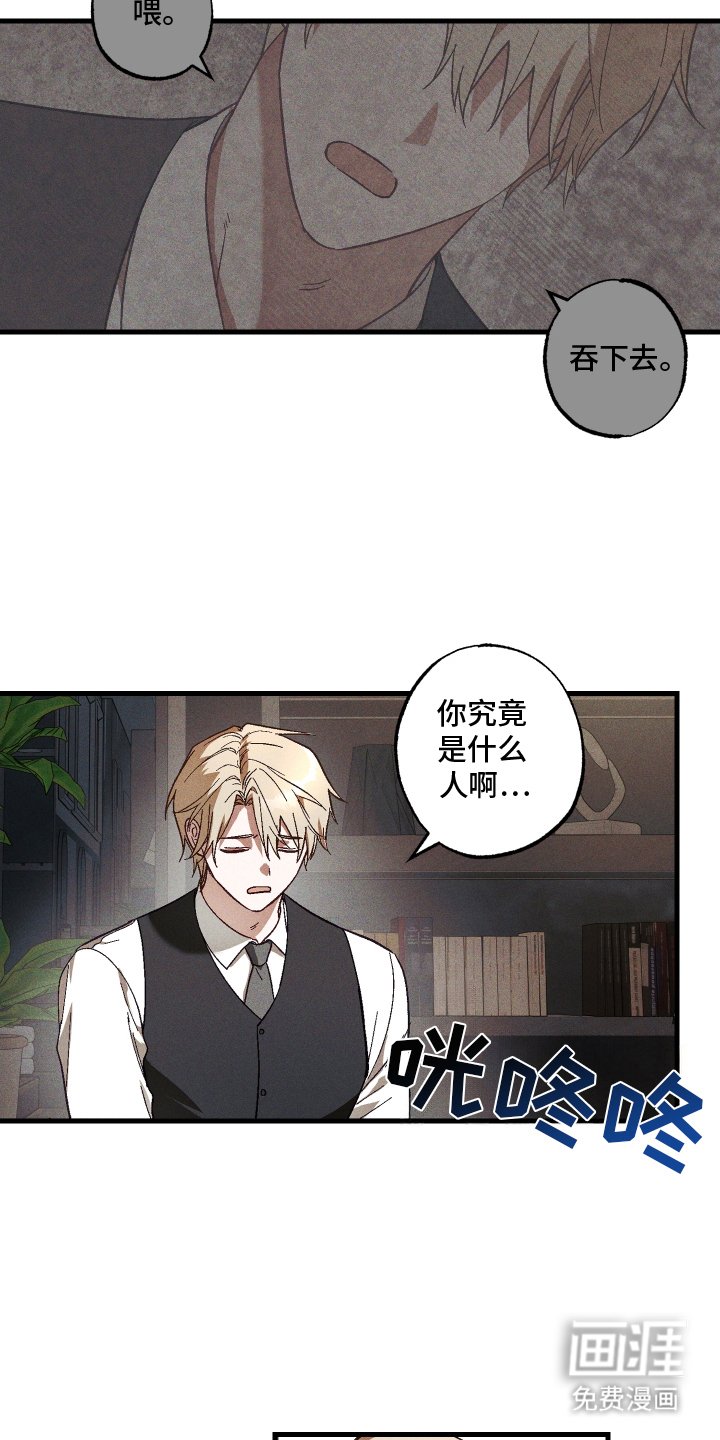第5章：九尾珠