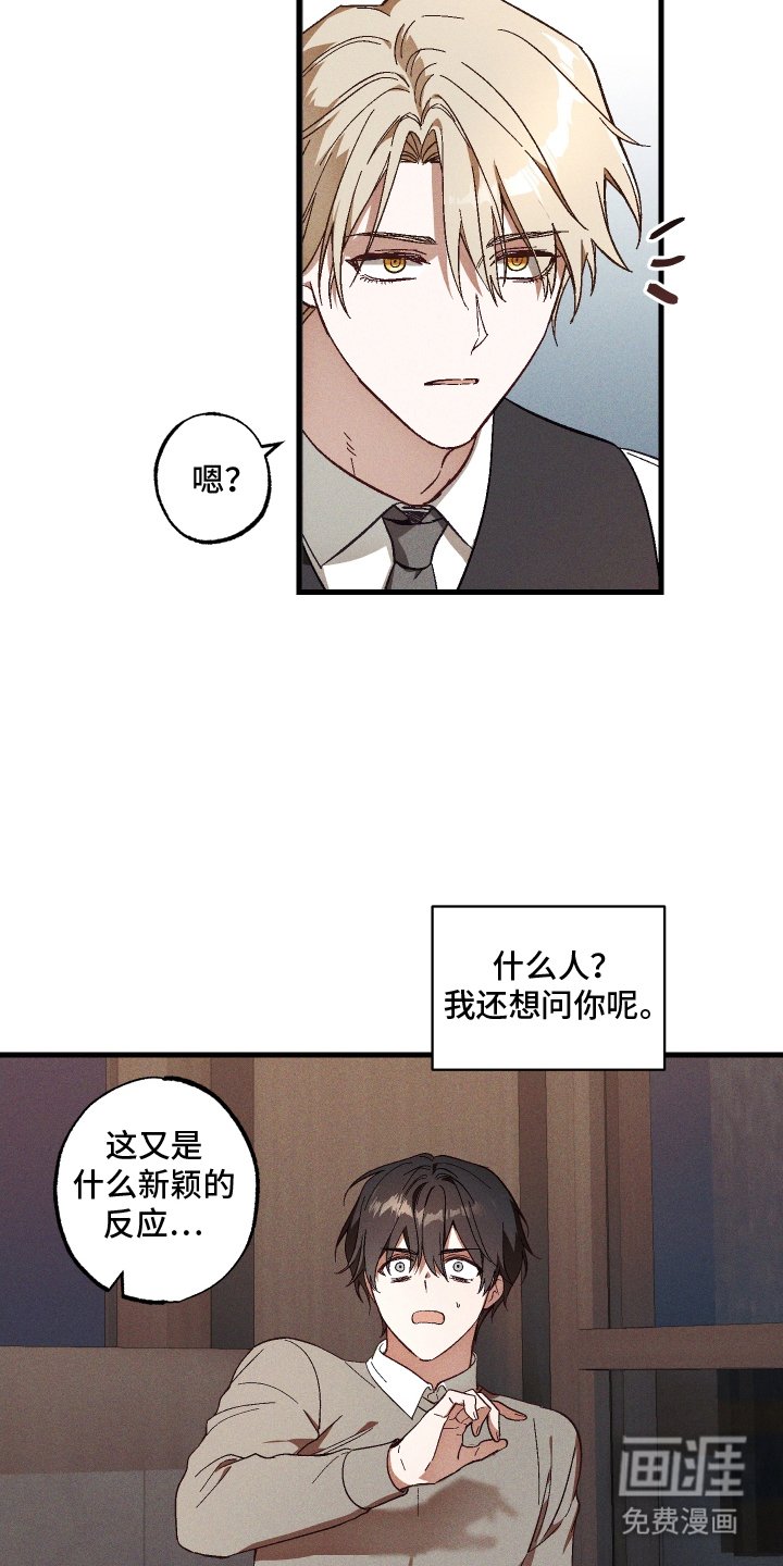 第5章：九尾珠