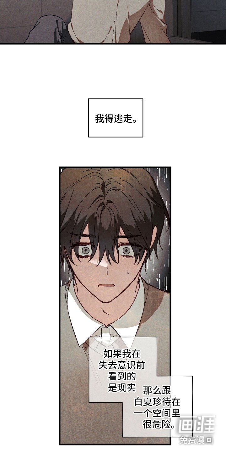 第5章：九尾珠