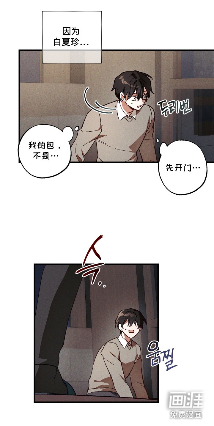 第5章：九尾珠