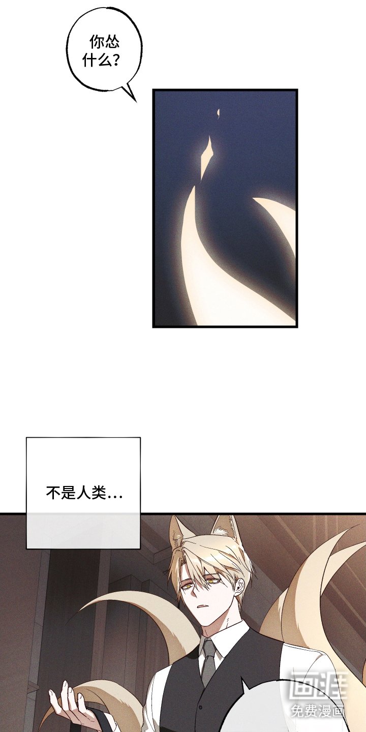 第6章：诅咒