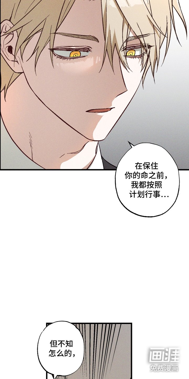 第6章：诅咒