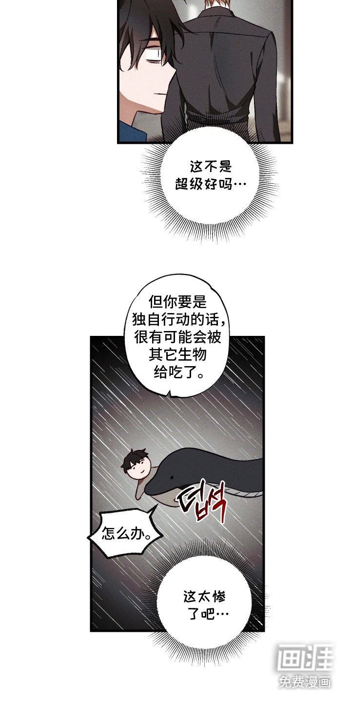第9章：保密