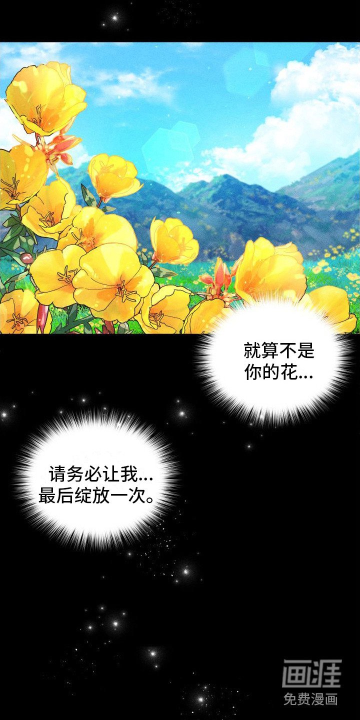 第6章：野兽一般