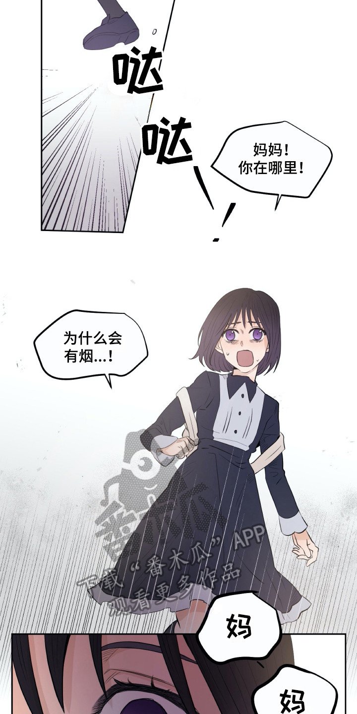 第17章：烧毁
