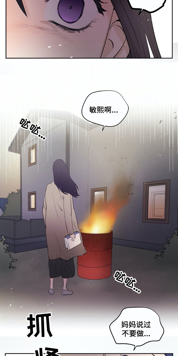 第17章：烧毁