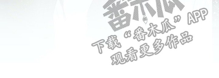 第23章：不能贪心