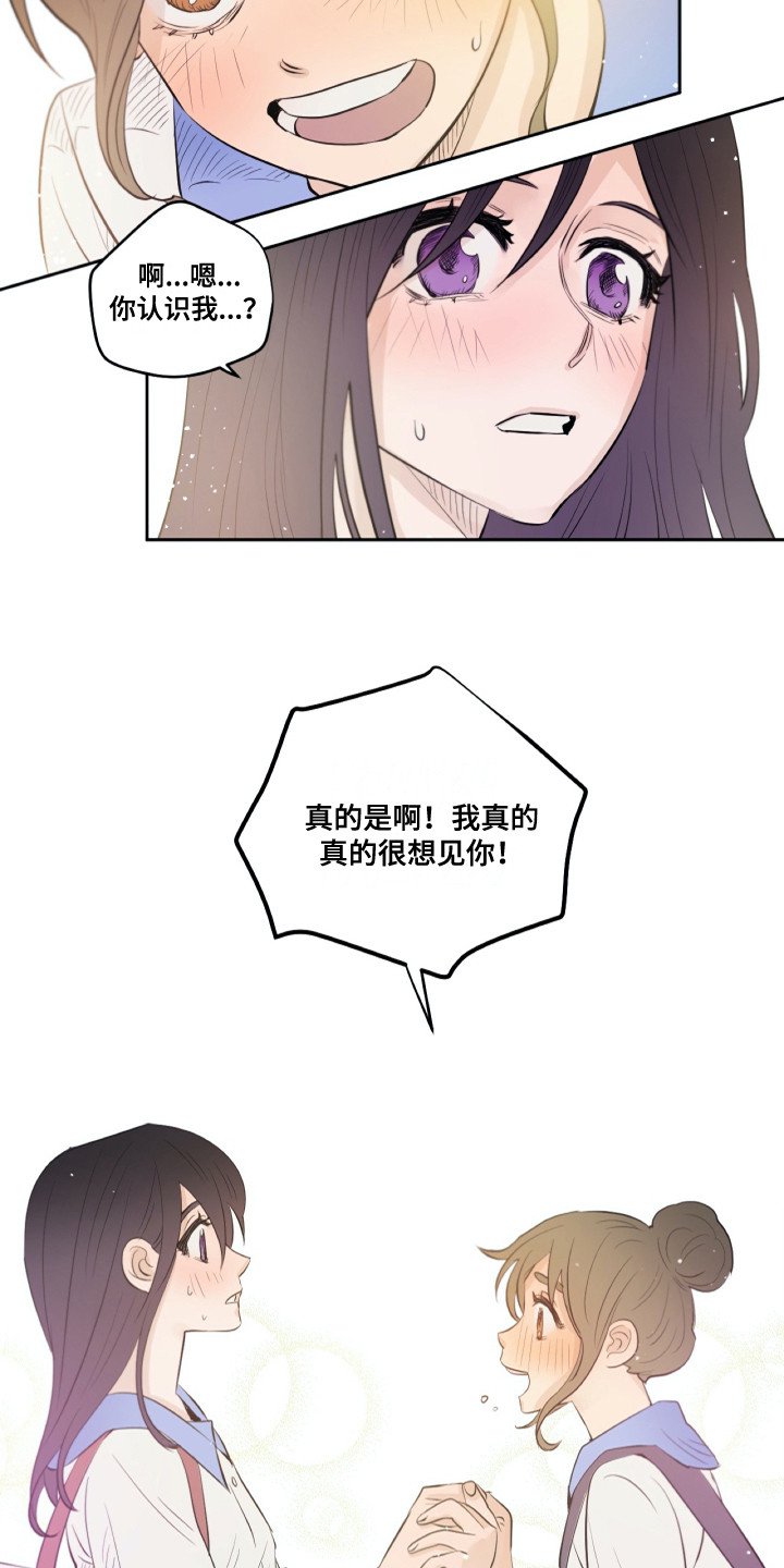 第27章：粉丝