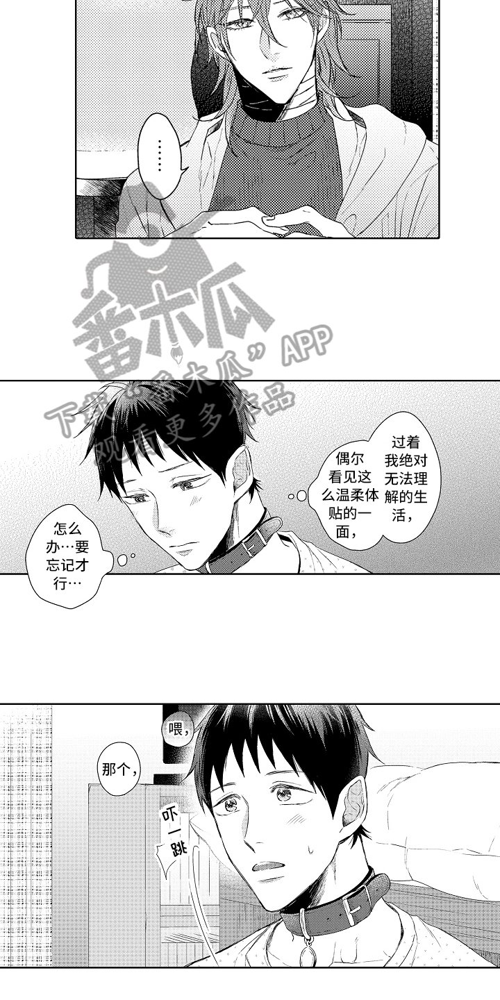 第11章：下厨
