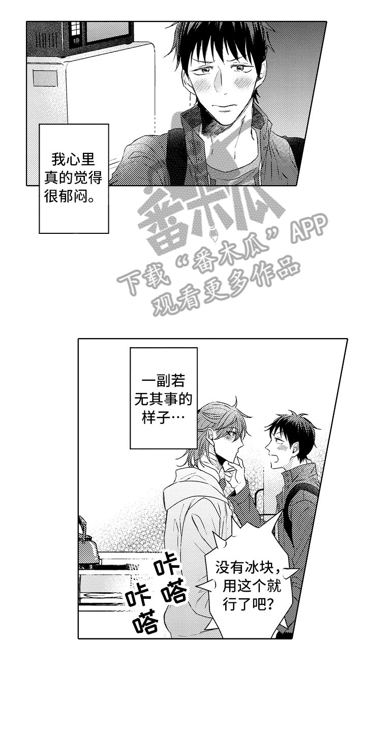 第14章：流浪猫
