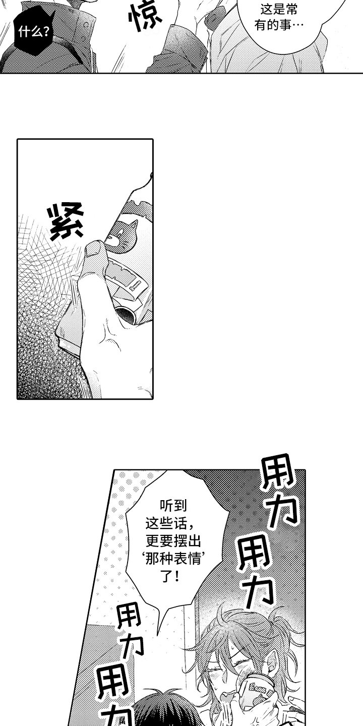 第14章：流浪猫