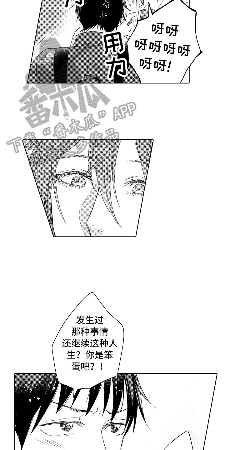 第14章：流浪猫