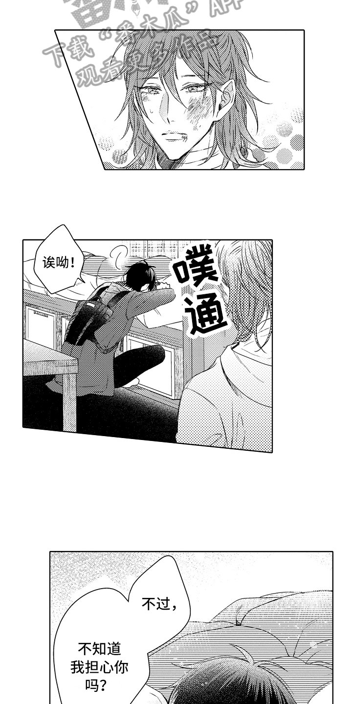 第14章：流浪猫