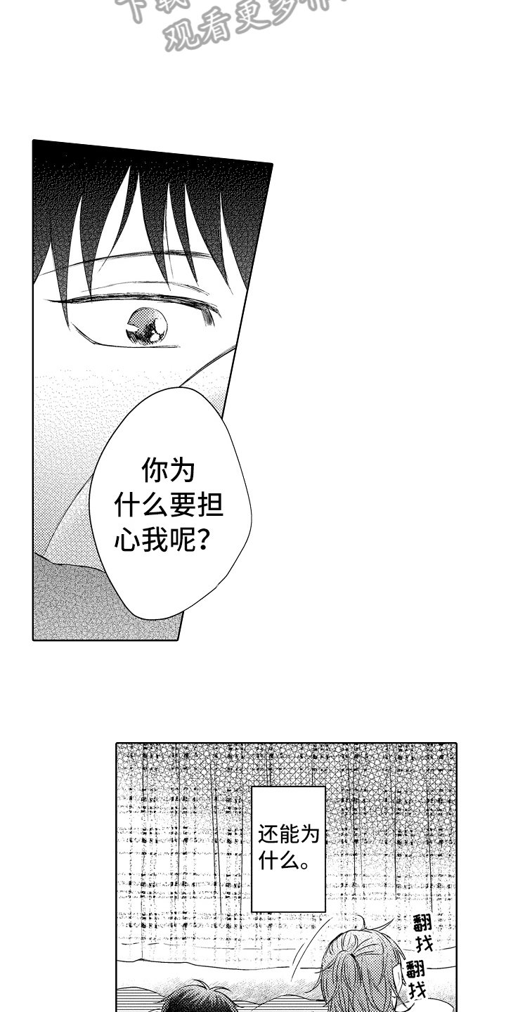 第14章：流浪猫