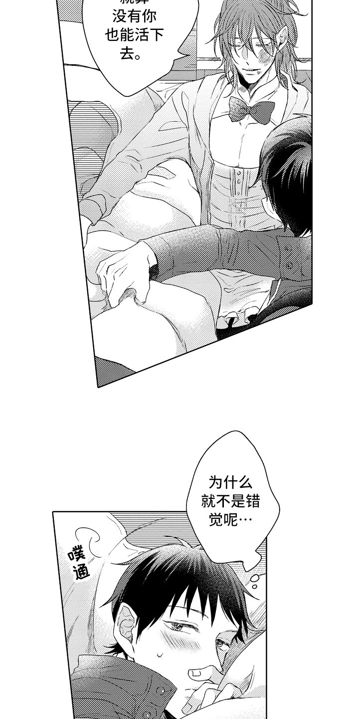 第14章：流浪猫