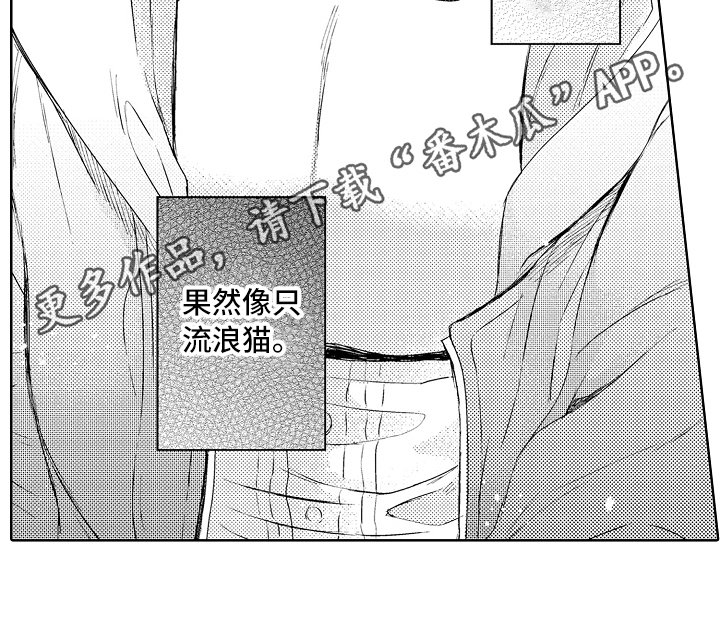 第14章：流浪猫