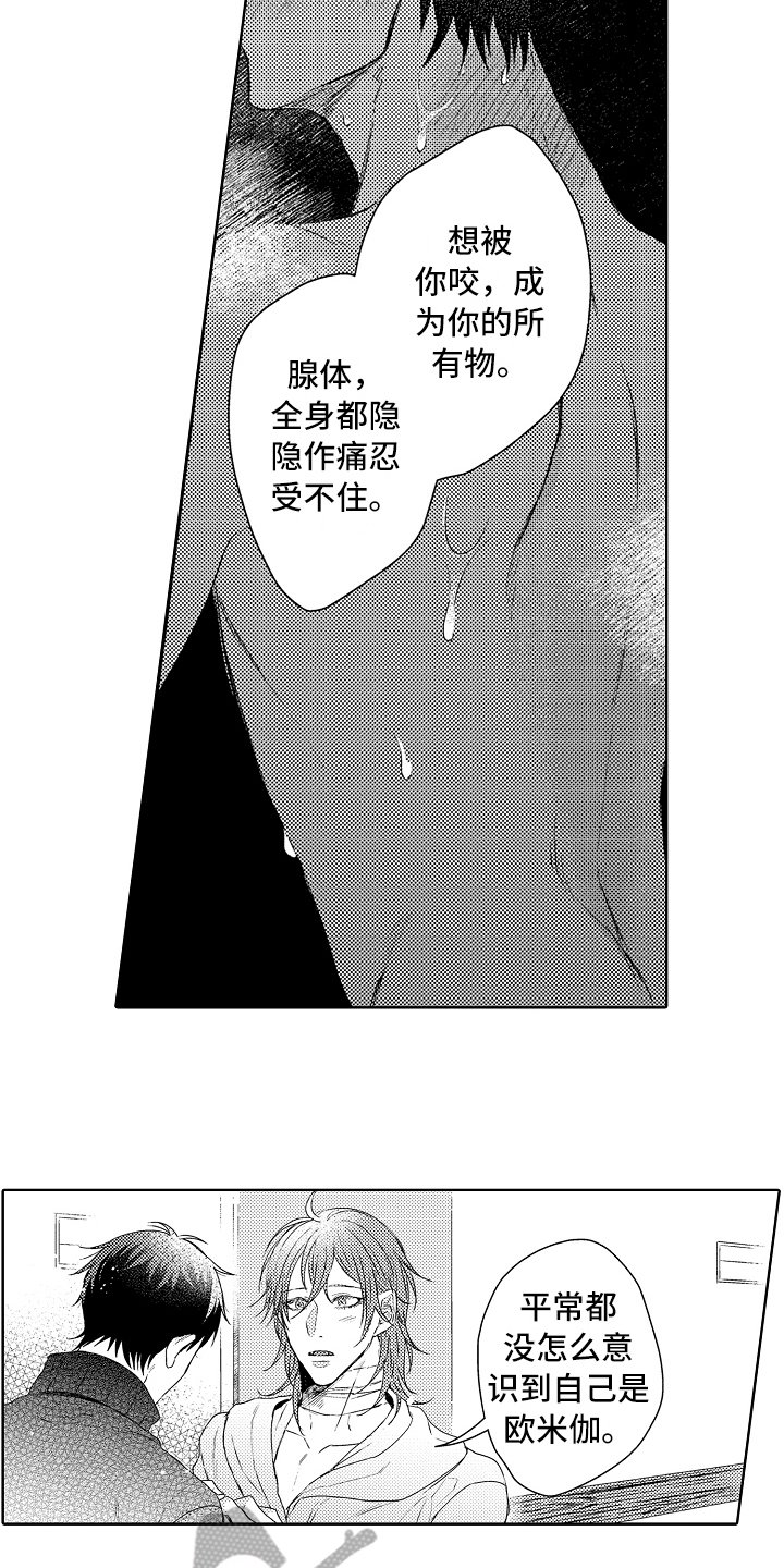 第19章：哥哥