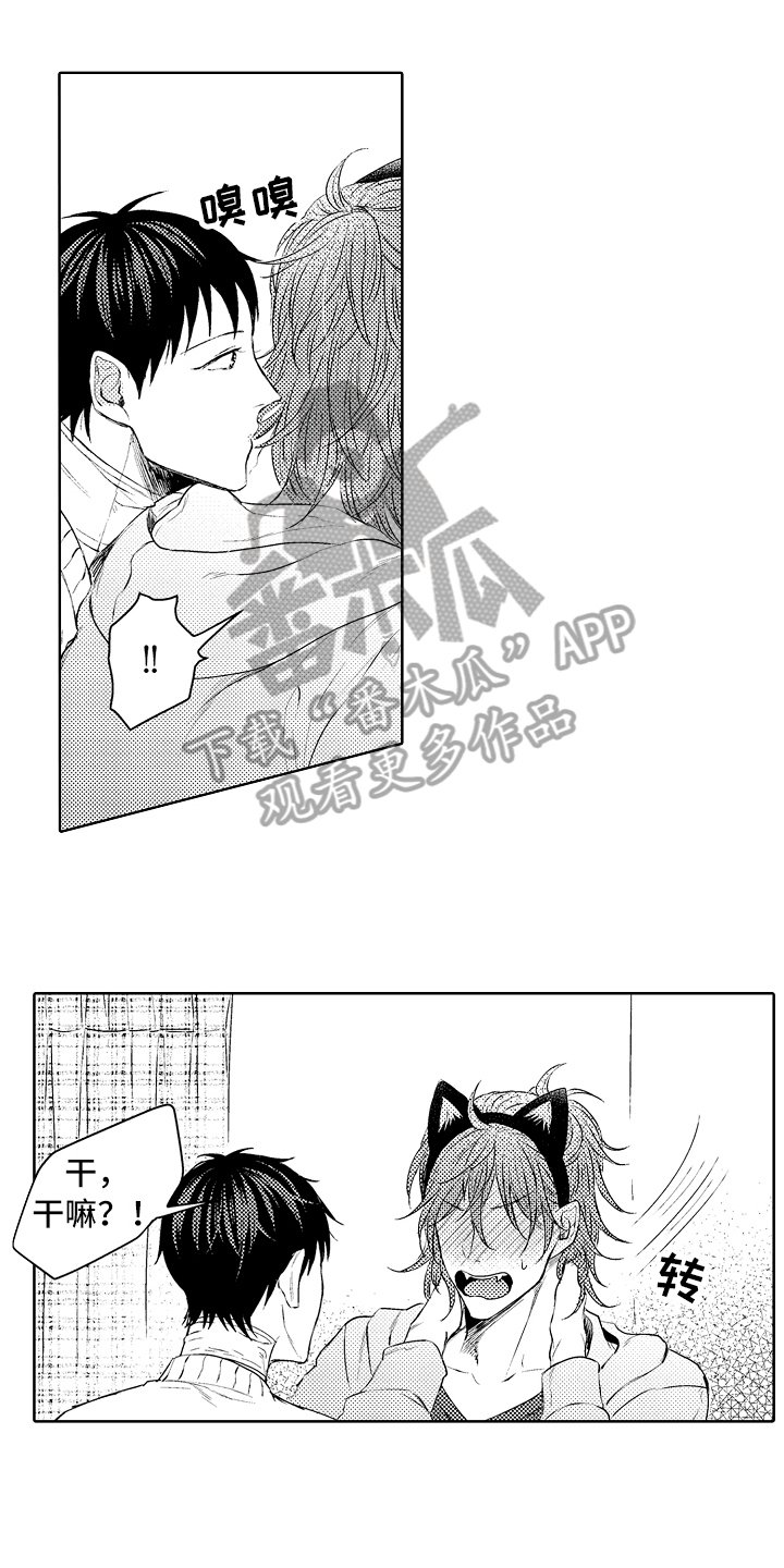 第29章：劝说