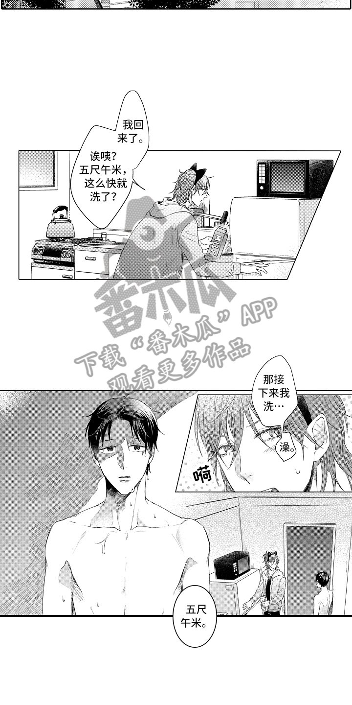 第30章：想法
