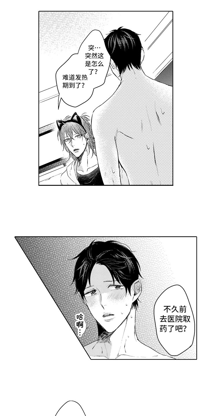 第30章：想法