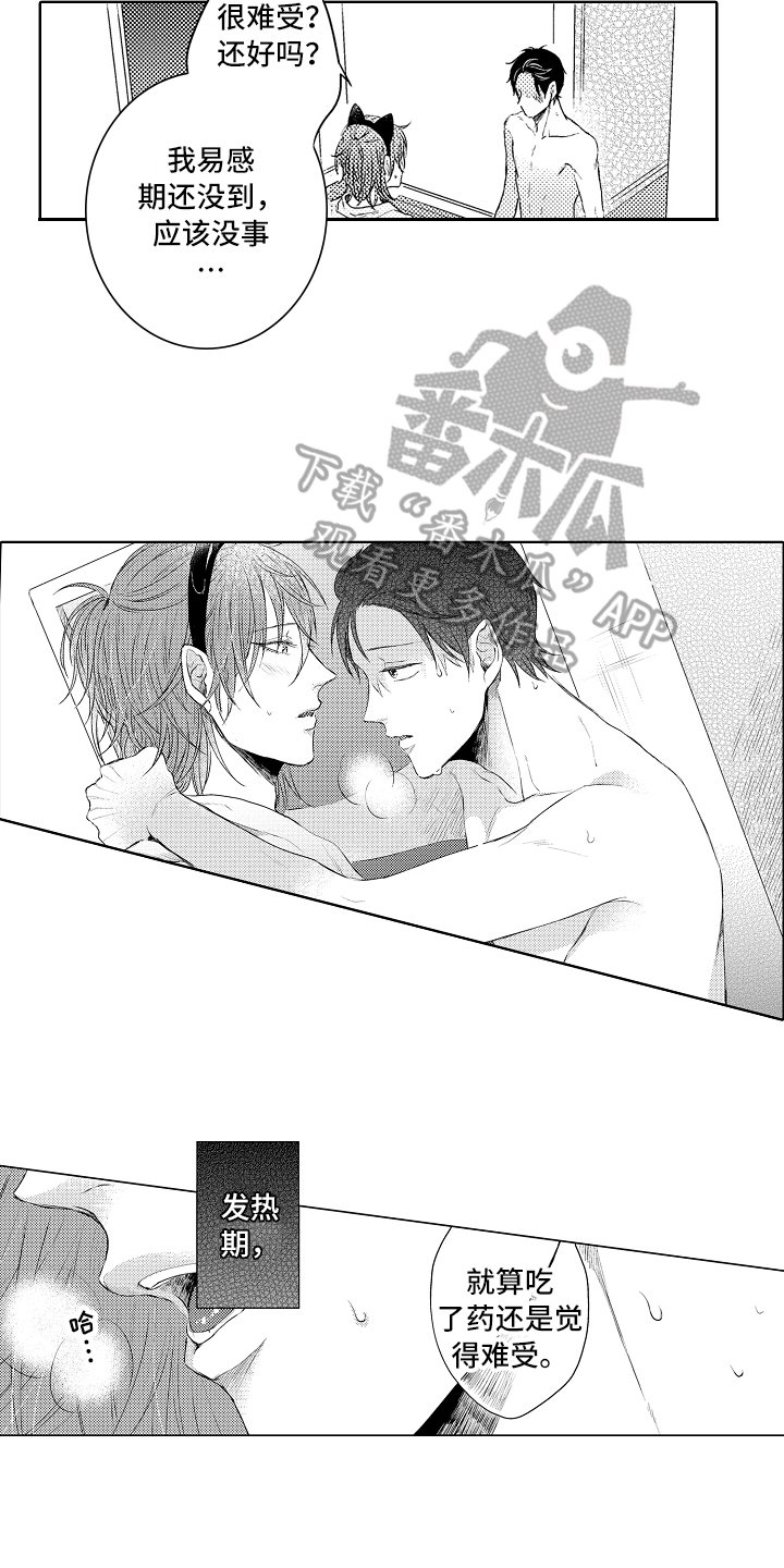 第30章：想法
