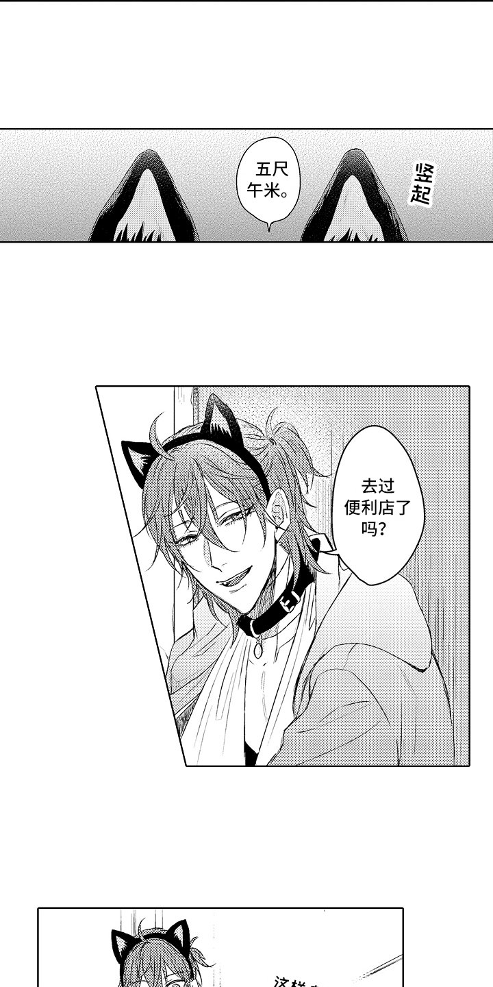 第4章：串门