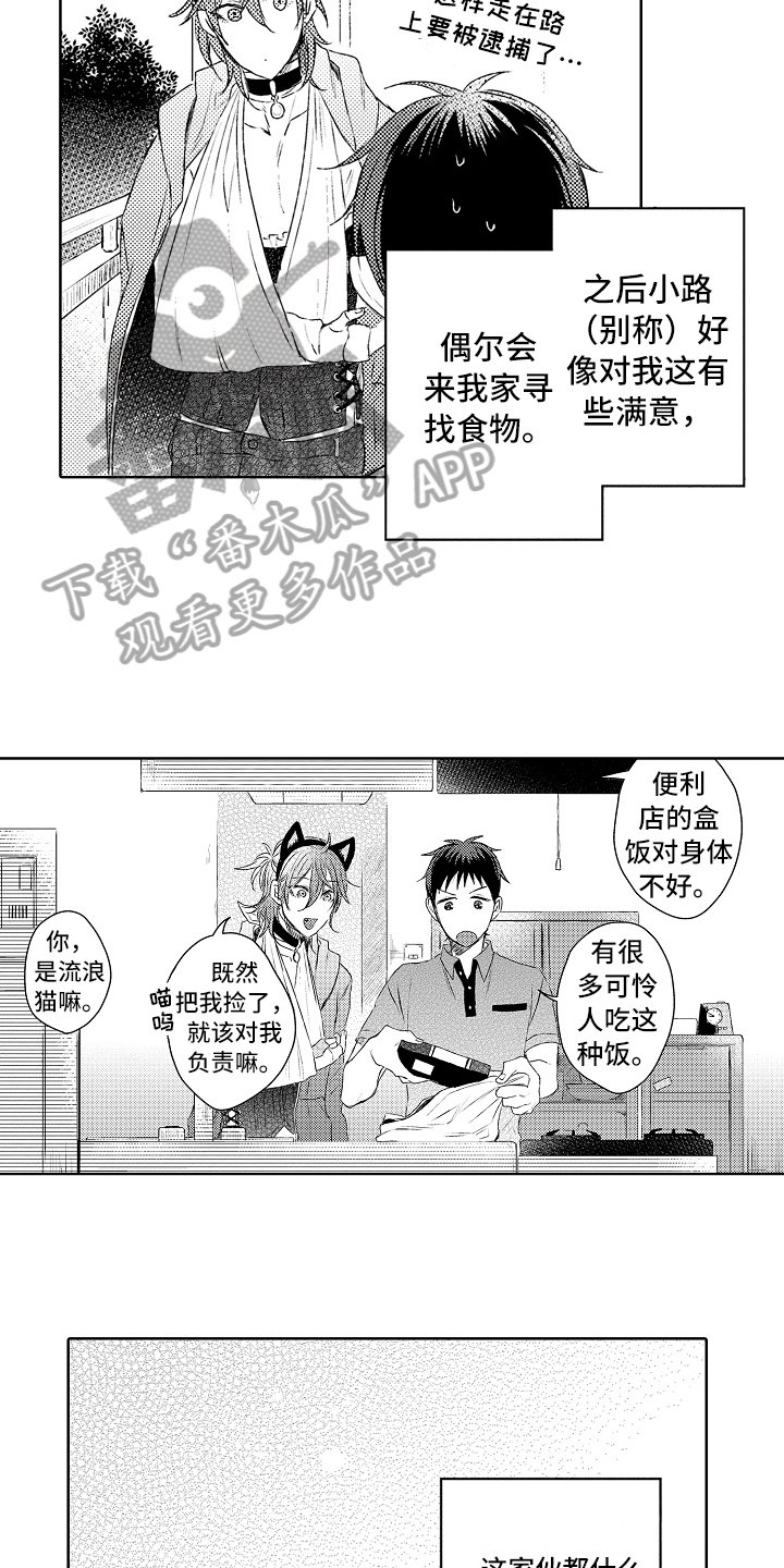 第4章：串门
