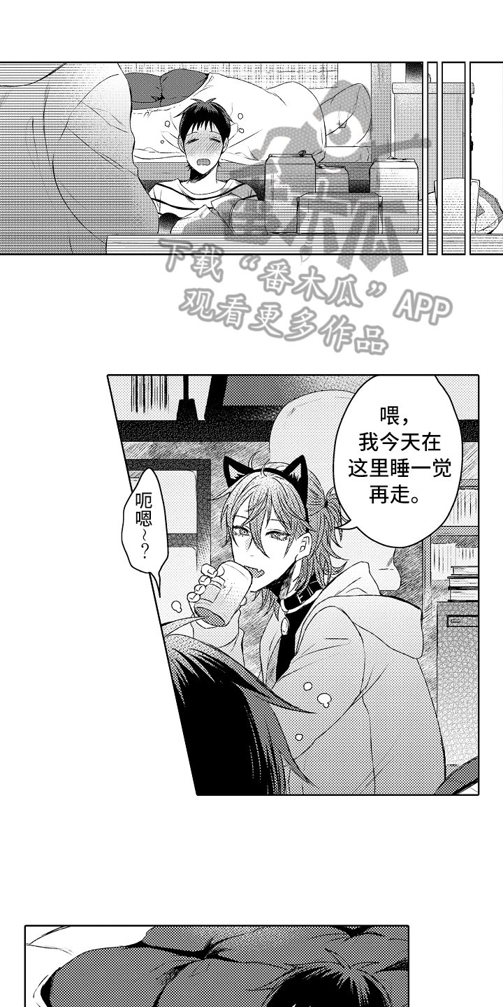第5章：喜欢的事情
