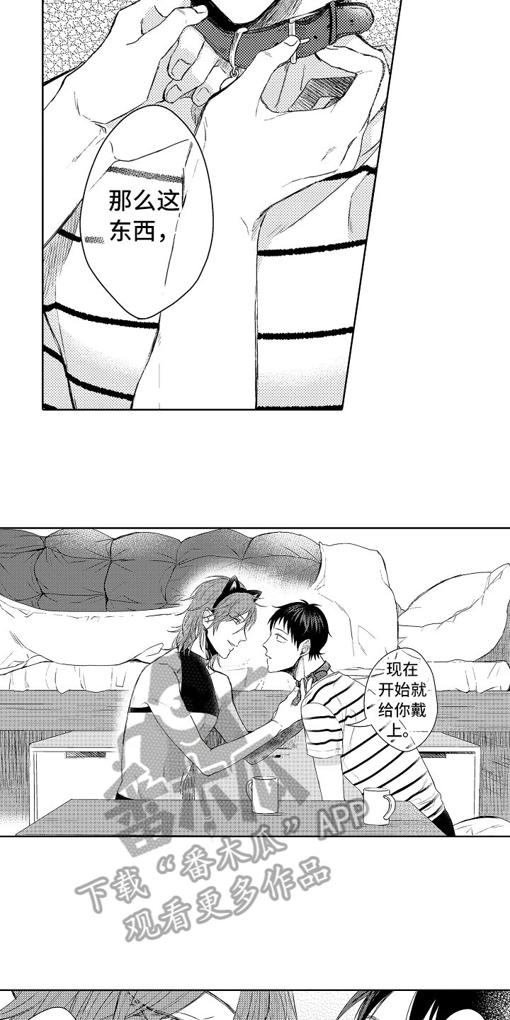 第6章：阿尔法