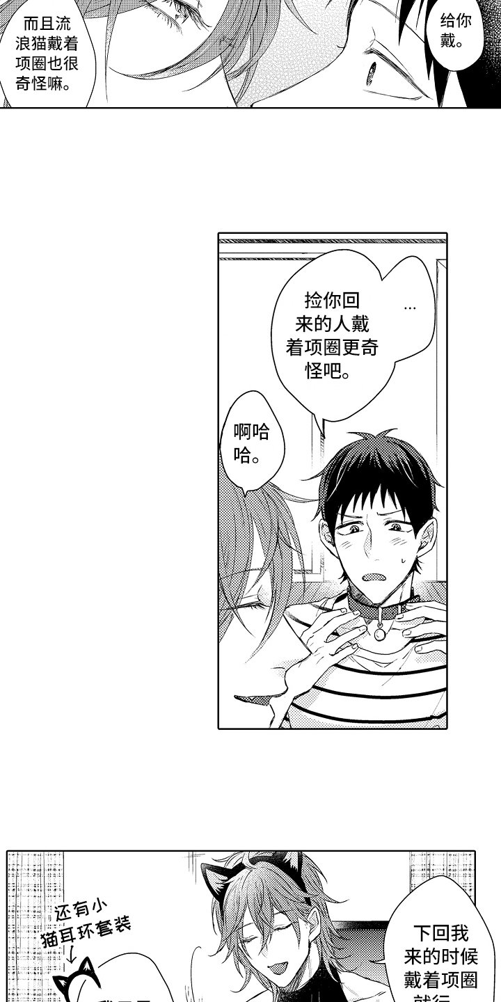 第6章：阿尔法