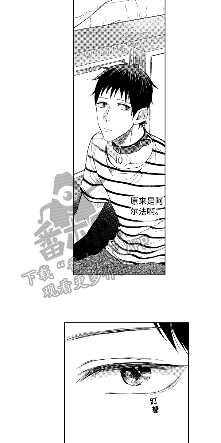 第6章：阿尔法