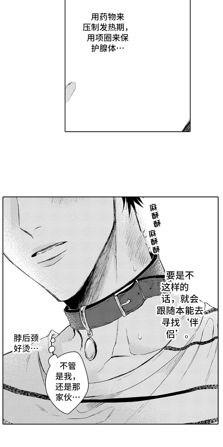 第6章：阿尔法