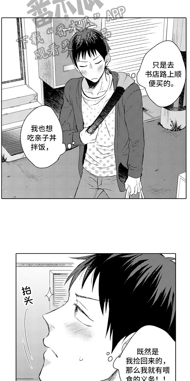 第9章：菜谱
