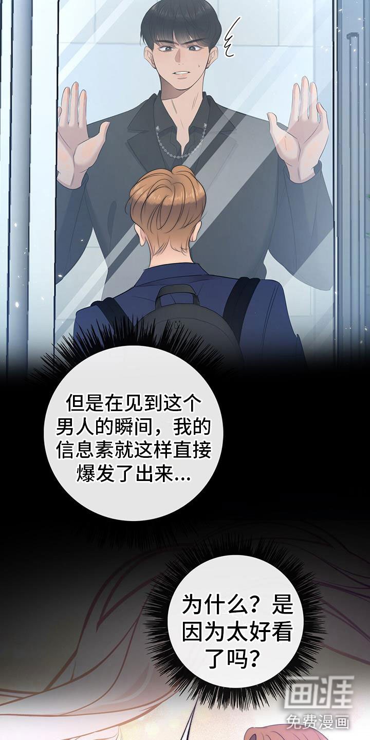第11章：挺漂亮
