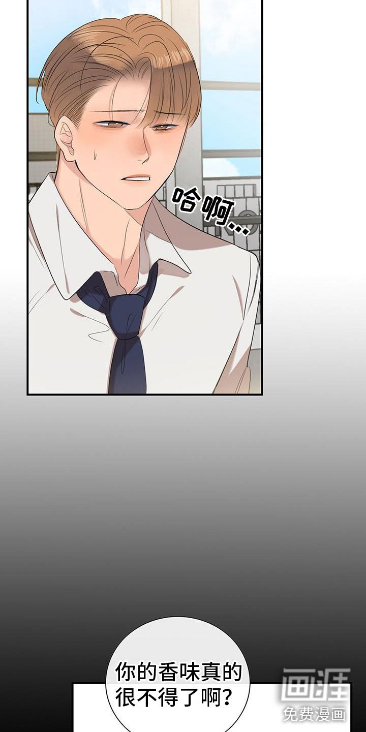 第11章：挺漂亮