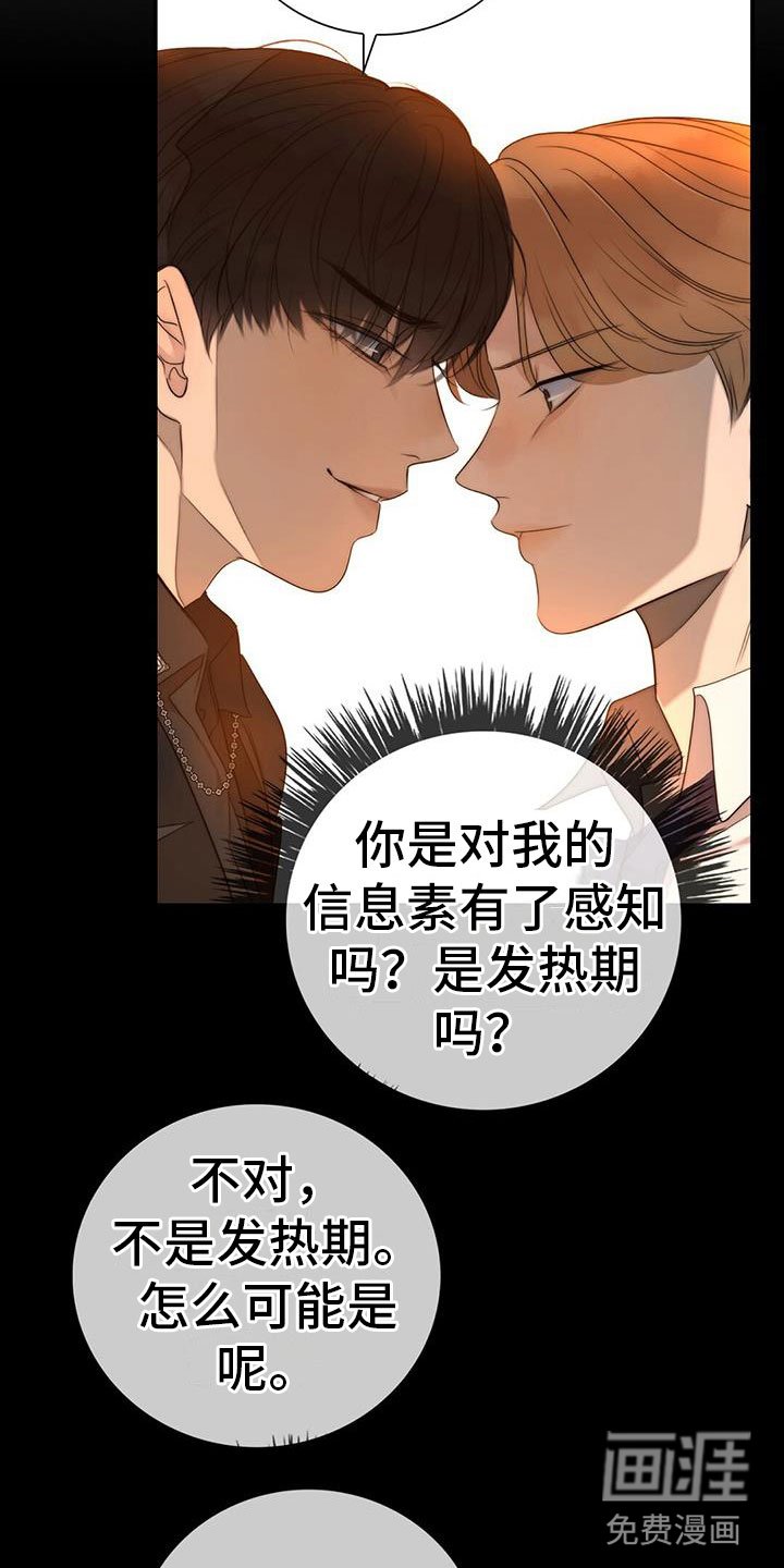 第11章：挺漂亮