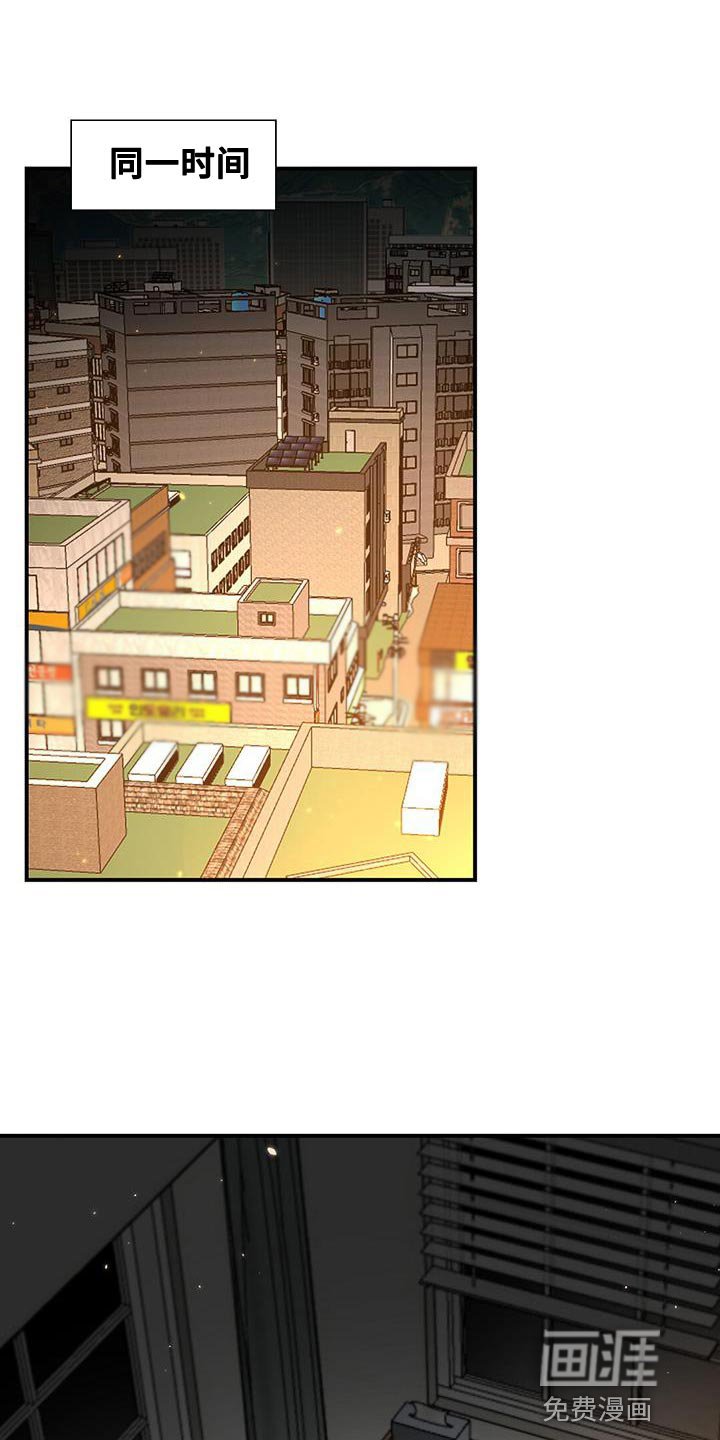 第16章：回国