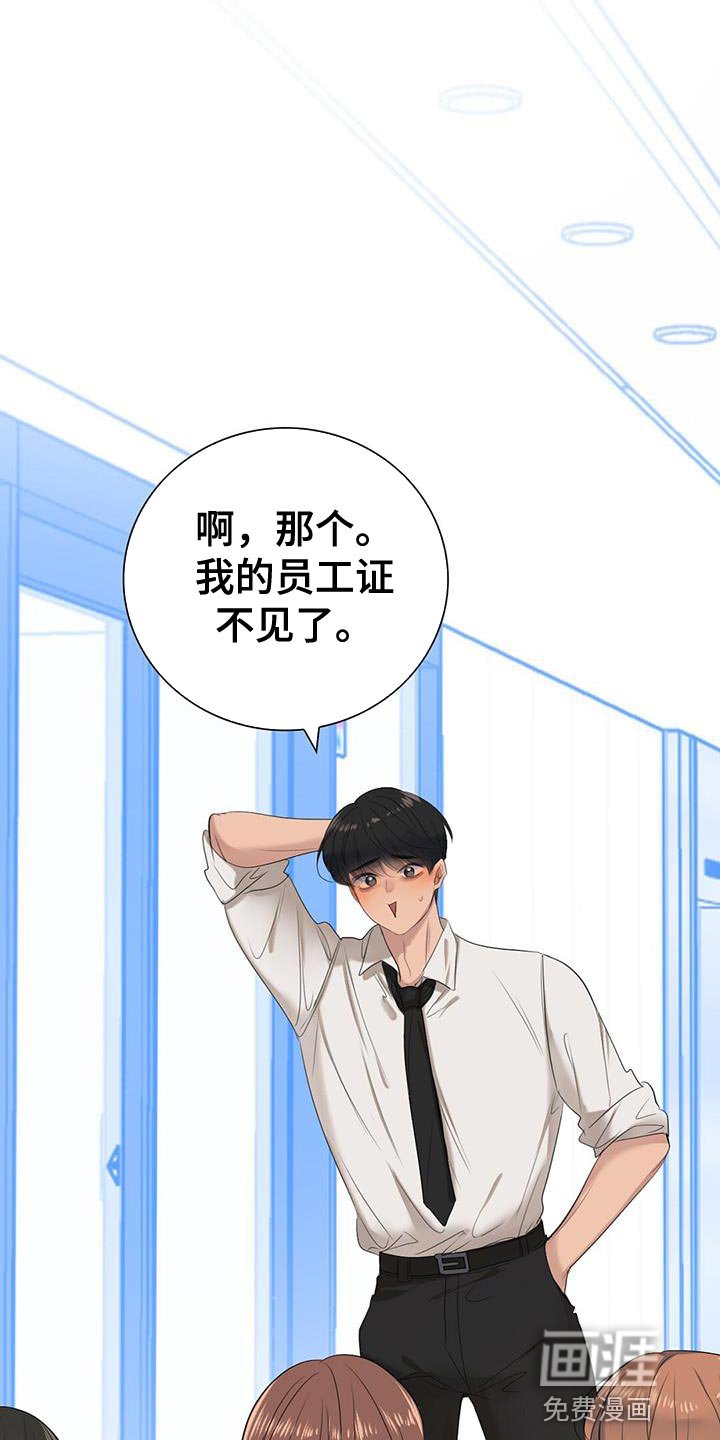 第19章：员工证