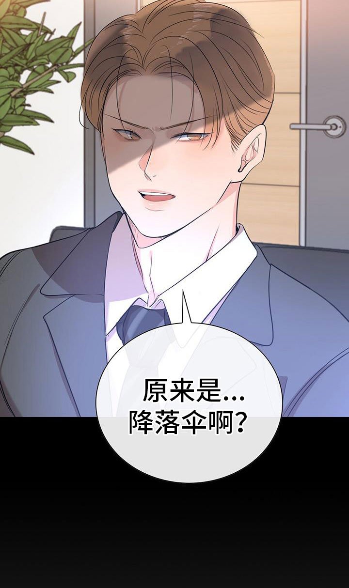 第3章：降落伞