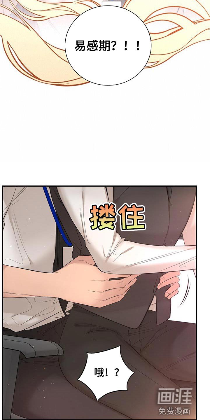 第30章：放开我