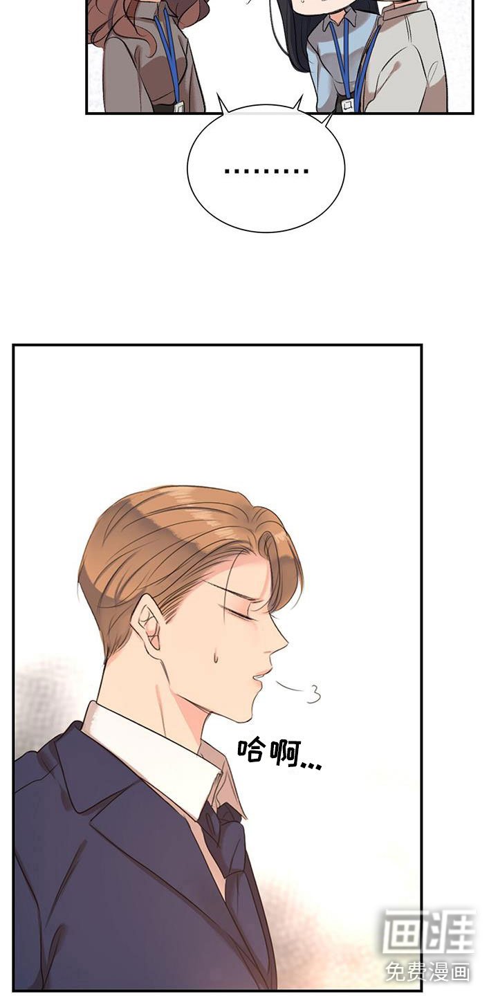 第6章：新人