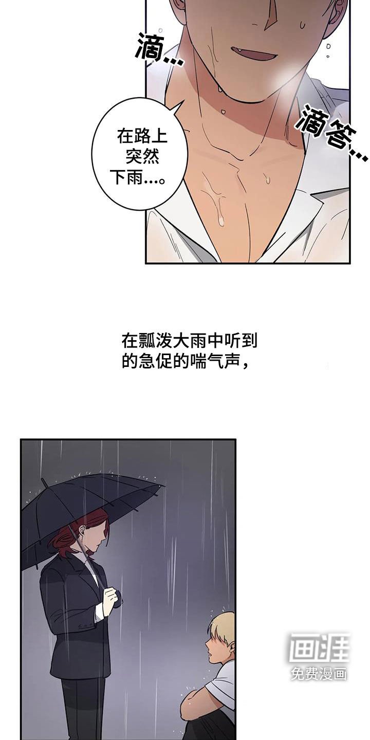 第14章：相似