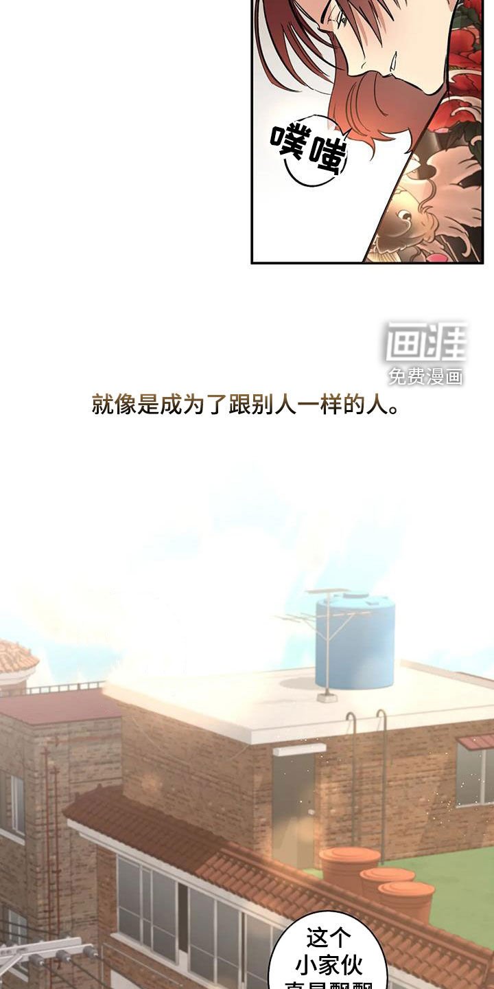 第14章：相似
