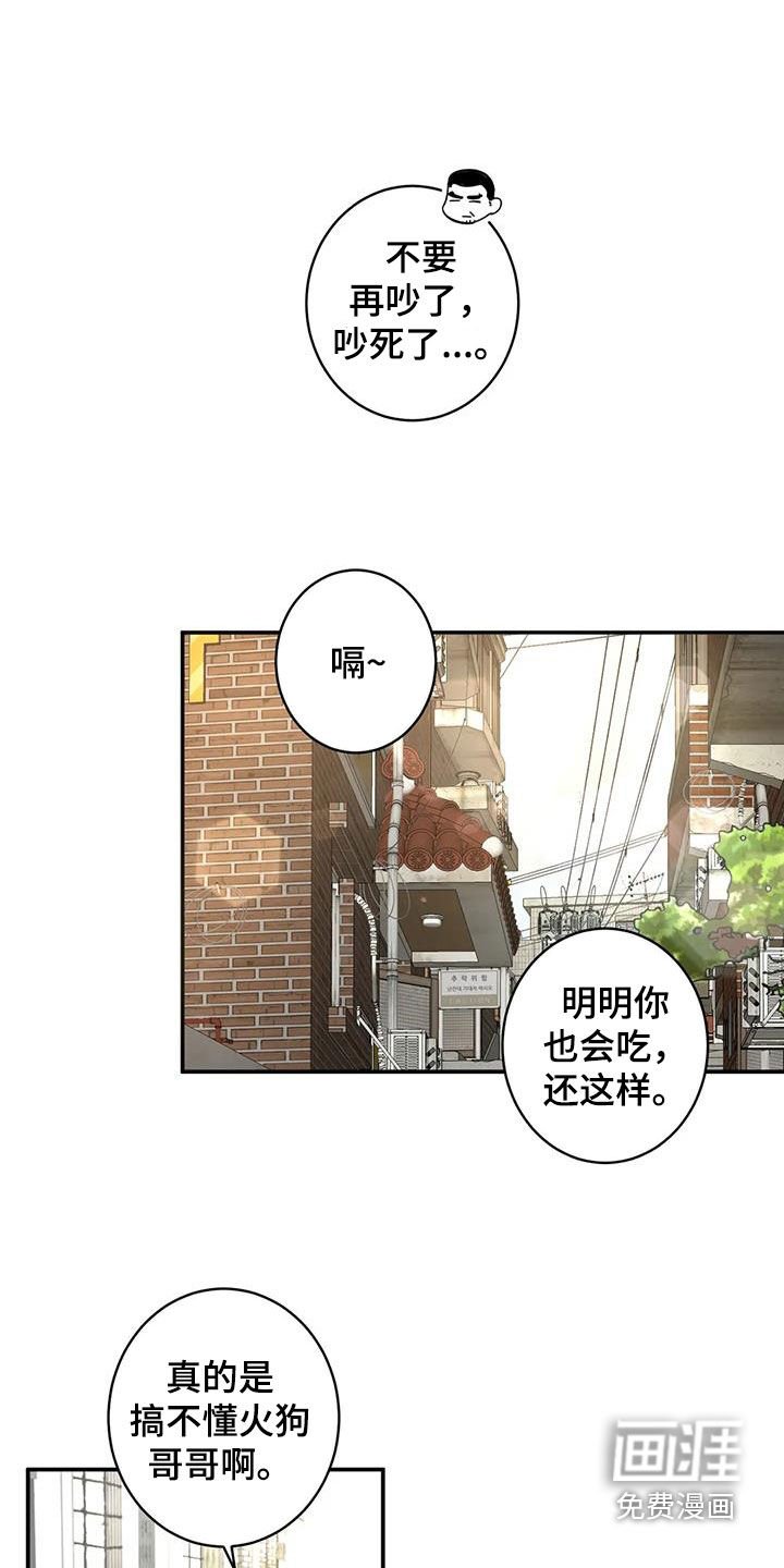 第17章：老虎窝